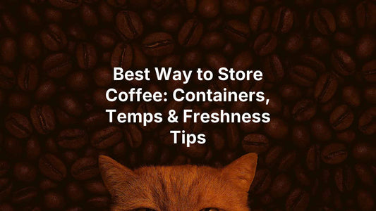 Best Ways to Store Coffee: Containers, Temps & Freshness Tips - Fat Frank Coffee