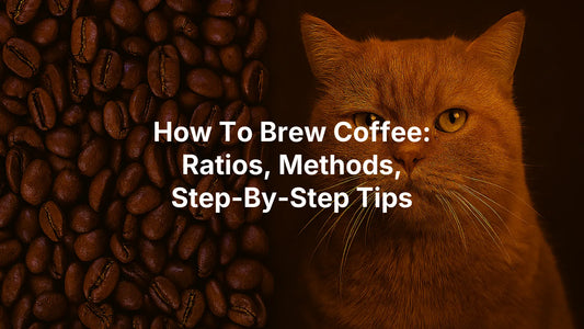 How To Brew Coffee: Ratios, Methods, Step-By-Step Tips