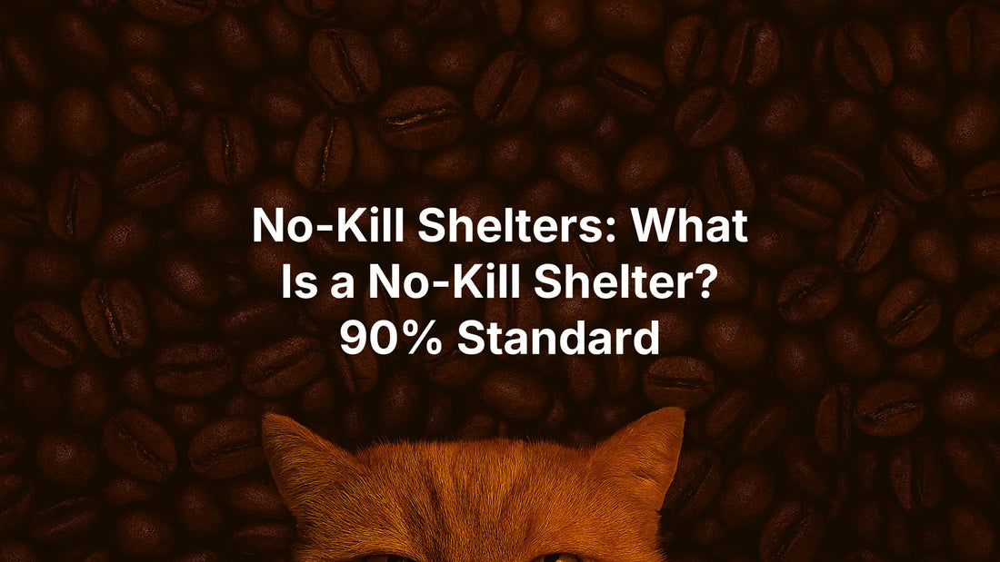 No-Kill Shelters: What Is a No-Kill Shelter? 90% Standard